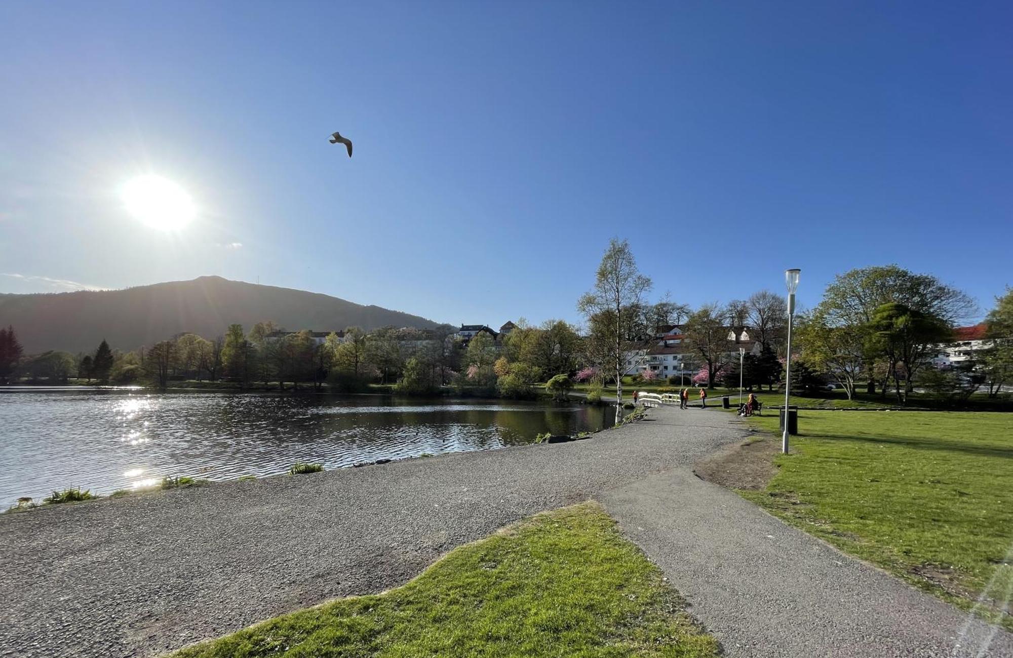 3 Sleeping Rooms For 82M2 Which Direct Traffic To Airport And City Center Bergen Exteriér fotografie