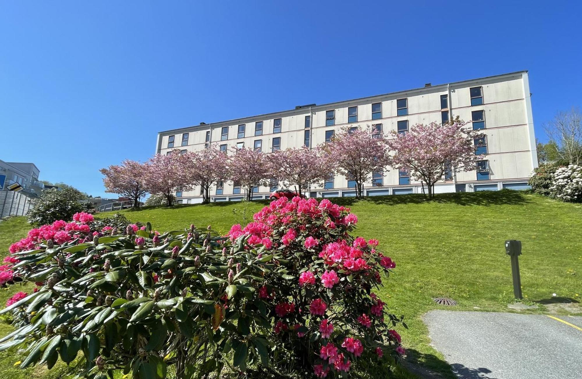3 Sleeping Rooms For 82M2 Which Direct Traffic To Airport And City Center Bergen Exteriér fotografie